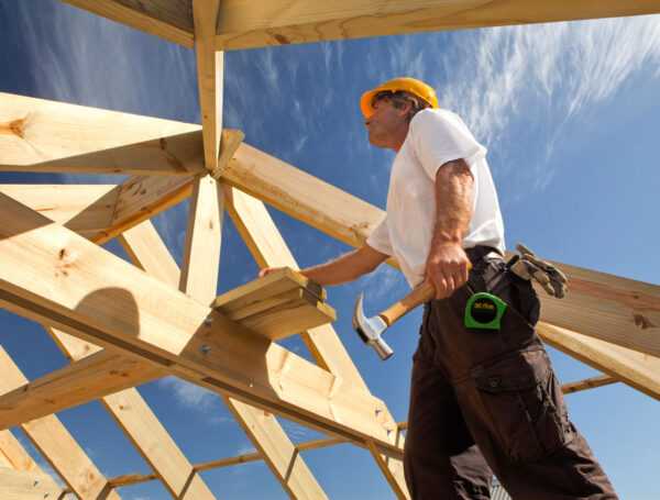 Album No.04: Velit esse molestie